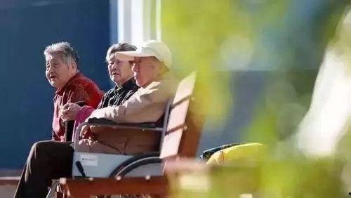 成人相互取暖好吗视频,温暖心灵，共度寒冬