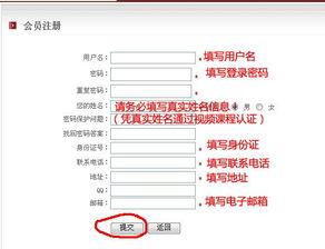 成人雅思自学流程视频,高效备考全流程解析