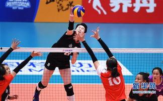 成人打排球视频教程,跟随视频教程轻松掌握技巧