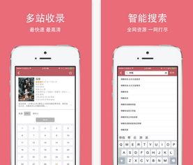 成人豆豆视频破解,解锁隐私与自由的秘密通道