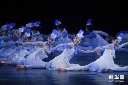 成人青年舞蹈原创视频,原创舞蹈视频魅力绽放