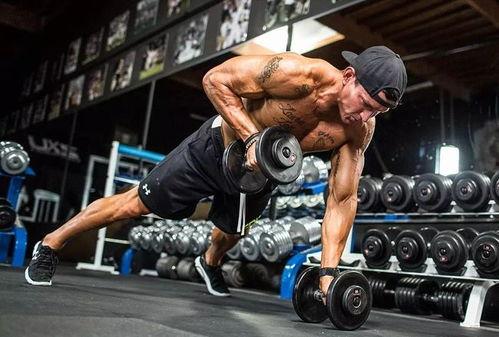 成人手工哑铃视频大全,视频大全解析