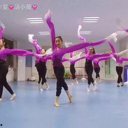 中国舞演出舞蹈视频成人,从中国舞视频看舞者风采