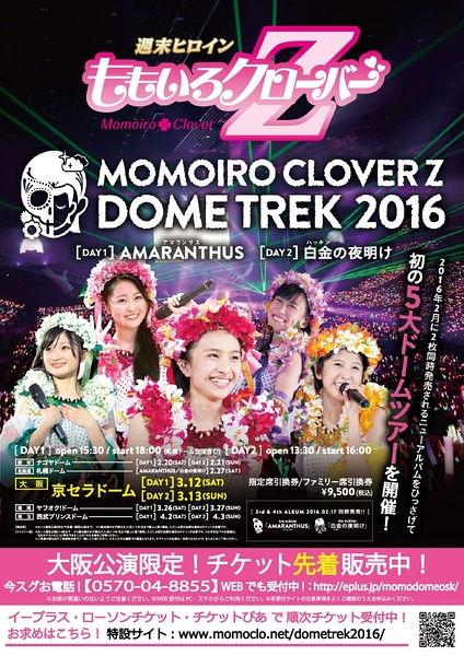 成人z视频照片,照片背后的故事与启示