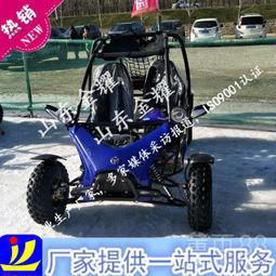 成人越野卡丁车解说视频,成人越野卡丁车体验全解析