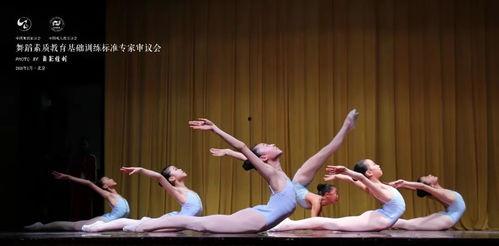 成人学舞攻略视频,成人学舞攻略视频精华解析