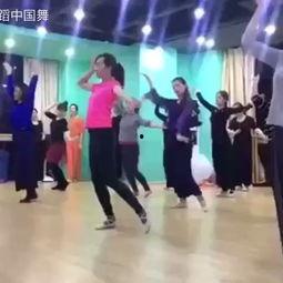 成套舞蹈成人舞蹈视频