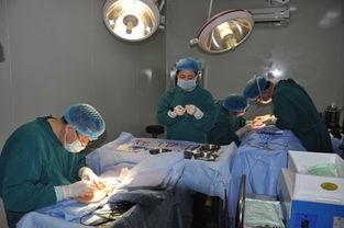 成人耳廓拼接再造视频,重塑美丽轮廓的神奇之旅