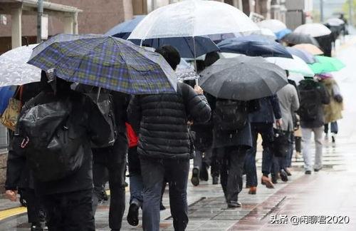 成人搬砖视频大全集播放