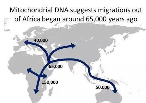 形成人类视频的原因
