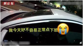 成人崩溃开车怎么办视频,成人崩溃时如何安全驾驶