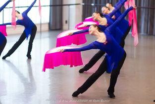 光芒成人舞蹈教学视频,轻松入门，舞动人生