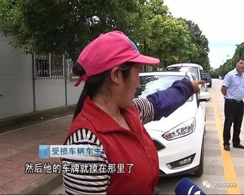 成人开车视频在线链接,揭秘成人驾驶技巧视频精华