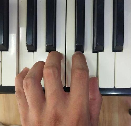 草莓视频成人钢琴入门